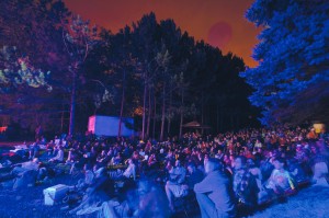 Square Lake Festival