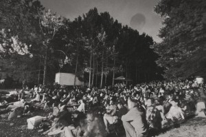 Square Lake Festival Audience