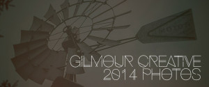 2014 Photo Gallery