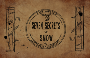 7 secrets rect use this one
